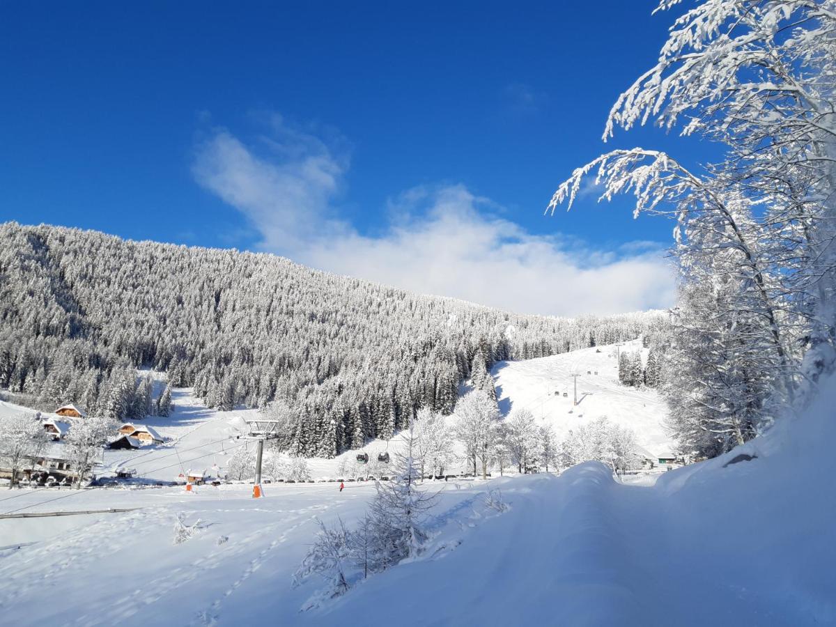 Chalet Verdino Bad Kleinkirchheim Exterior foto
